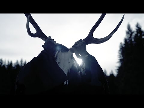 TOWARB D Alta Official Music Video 