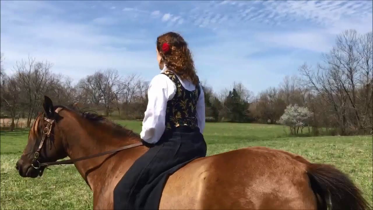 Alazne 2014 Lusitano mare