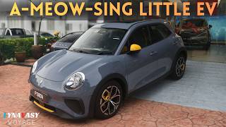 GWM ORA GOOD CAT GT Review | Better Than The Dolphin Premium & MG 4 EV Lux?