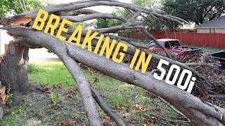 Stihl 500i Bucking Big Blow Down + New Woodyard