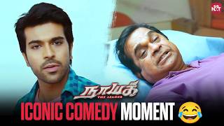 Brahmanandams Funniest Moment Ever Naayak Movie Scene Ram Charan Amala Paul Sun Nxt