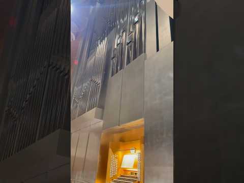 Before rehearsal starts - Fisk Organ at Segerstrom Concert Hall  #shorts