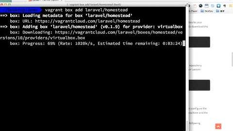1. Adding The Vagrant Box