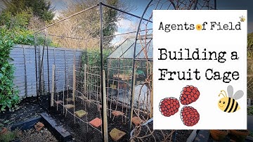 Building a Fruit Cage
