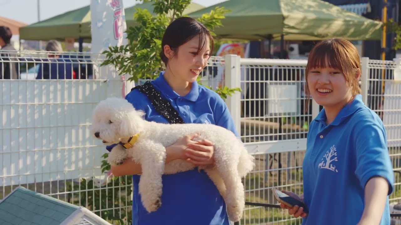 アリス 動物 病院