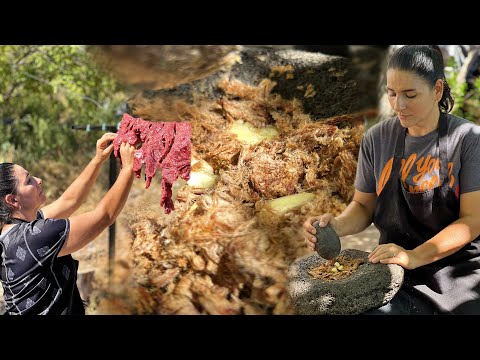 La deliciosa carne seca al sol: Todo lo que necesitas saber - Video