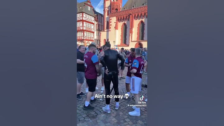 Meanwhile in Germany… Catman with fans😂🔥Euro 2024🏆 #euro2024 #germany #fifa #uefa