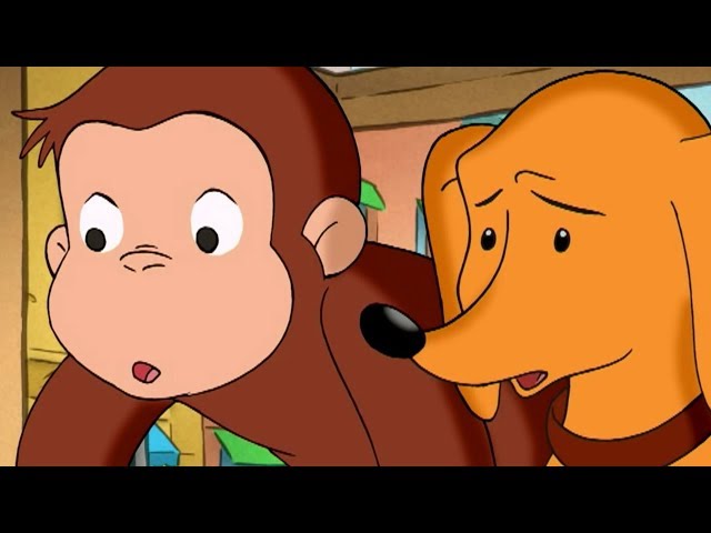 George O Curioso 🐵Cuidador de Animais 🐵Compilação 🐵 O Macaco