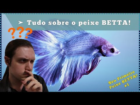 Vídeo: 10 presentes de luxo para o amante do animal de estimação que tem tudo