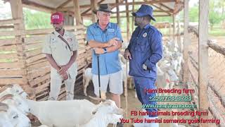 See what gerrie the expert says about what is stopping us from having very big goats by Hamiisi Semanda 9,672 views 1 month ago 17 minutes