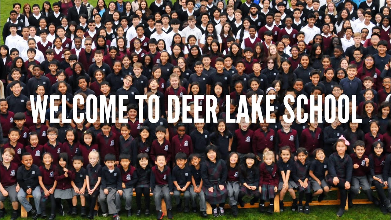 to Deer Lake School YouTube