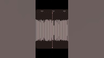 آواخر سوره الحشر 🤍❤️ #quran #الحناجر_الذهبيه #المصحف