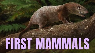 FIRST MAMMALS - DNA & Data Crunching ~ with SANDRA ÁLVAREZ