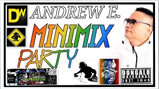 Download Lagu ANDREW E. MINI MIX PARTY PART-1 MP3