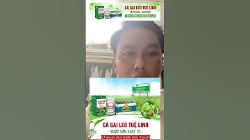 Giải Độc Gan Với Trà Cà Gai Leo Tuệ Linh