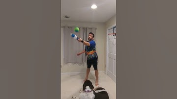 Juggle first then pet puppy! #juggling #trickshots #shorts