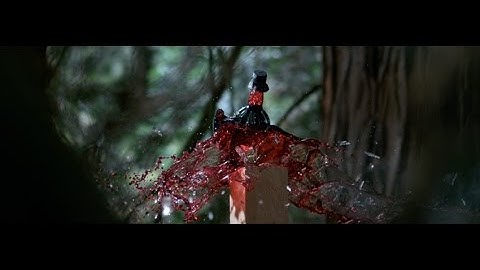 Save Wild Tigers - Stop the demand - Stop tiger poaching