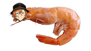 Chuuya X Knee Socks