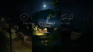 #followback #surahpendek #surahalikhlas #surah #explore #shortstory #quotes #picofthday #storywa