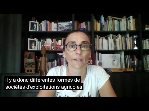 Les sociétés civiles d'exploitation agricole : GAEC, EARL et SCEA