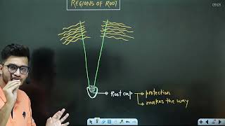 L1: Root & its Modifications | Morphology in Flowering Plants | 11th Class Biology ft Hyperbiologist