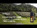 マヌカオイルとマオリの精神 ― ニュージーランドの大地で育まれた「地球からの贈り物」