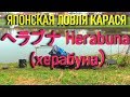 ヘラブナ Herabuna (херабуна). Конструктор насадок & Marukyu. Карась.