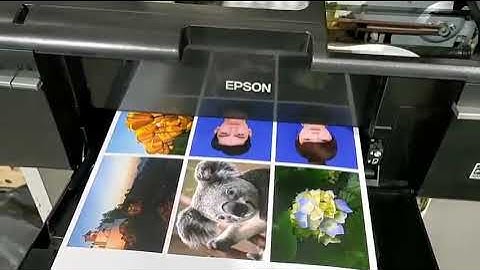 Đánh giá máy in epson t50