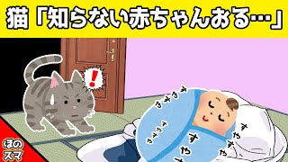 【2chほのぼの】家に知らない赤ちゃんが、寝ていた時の猫の反応が可愛すぎるwww