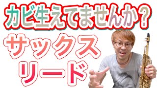 カビ生えてませんか？サックスのリード【良いやり方思いつきました】