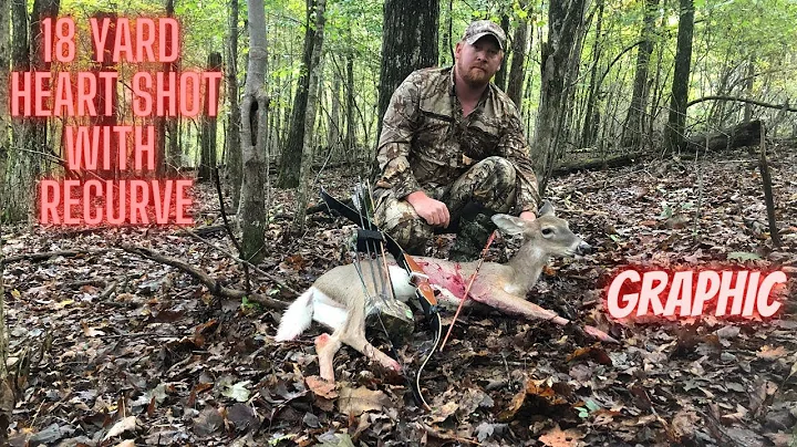 Traditional Archery hunt - with a Recurve - Ozark ...