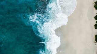 Beach Sounds & Ocean Waves 🏖️ | 10 Hours | Dark Screen | Fall Asleep Fast