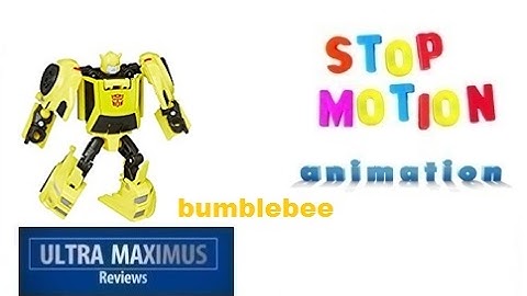 Bumblebee Stop Motion Animation
