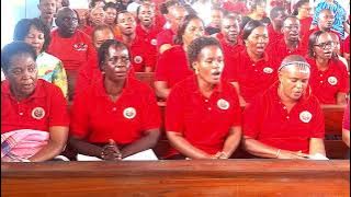 Njoo Wangu Mfariji - [Harminsed by Joseph Makoye] - Live Performance #kwayakatoliki