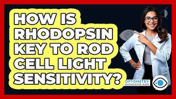 How Is Rhodopsin Key To Rod Cell Light Sensitivity?