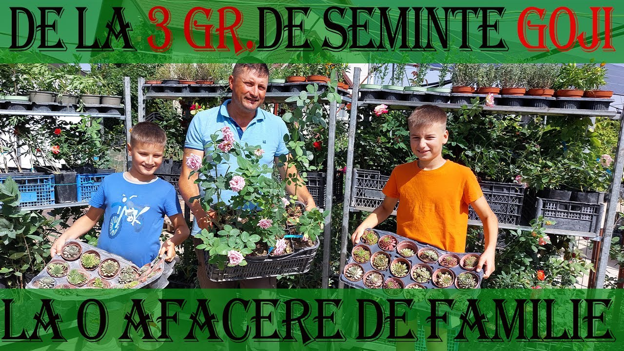 De la 3 grame de seminte la o afacere de familie cu plante "exotice", aromatice si decorative