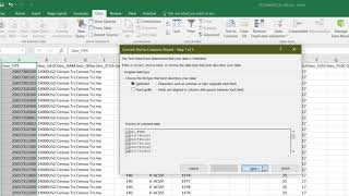 Step 2: Clean census data in Excel