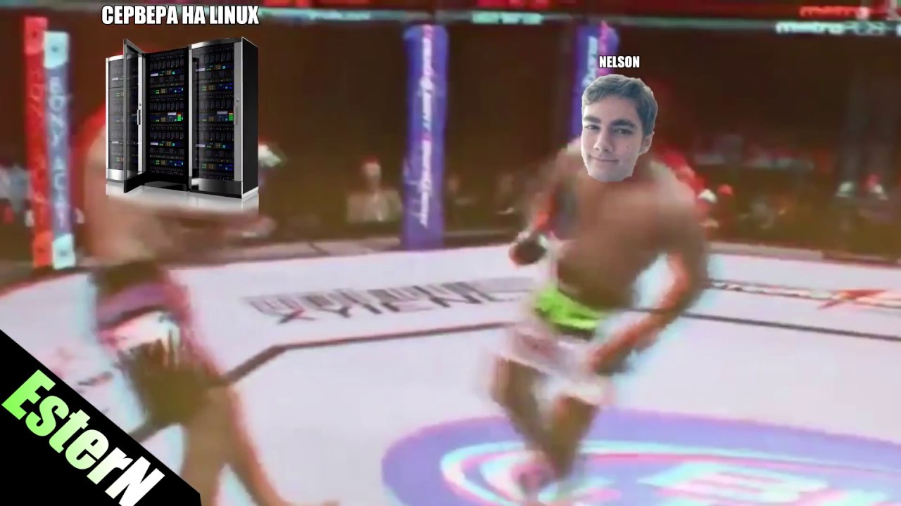 Unturned - Нельсон кладёт с ноги сервера на Linux