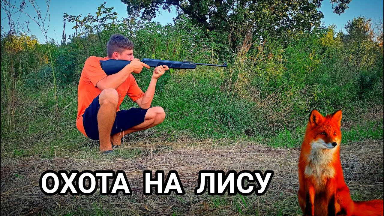 ОХОТА С ПНЕВМАТИКОЙ НА ЛИСУ!!!ЕСТЬ ЛИСА!!! - YouTube