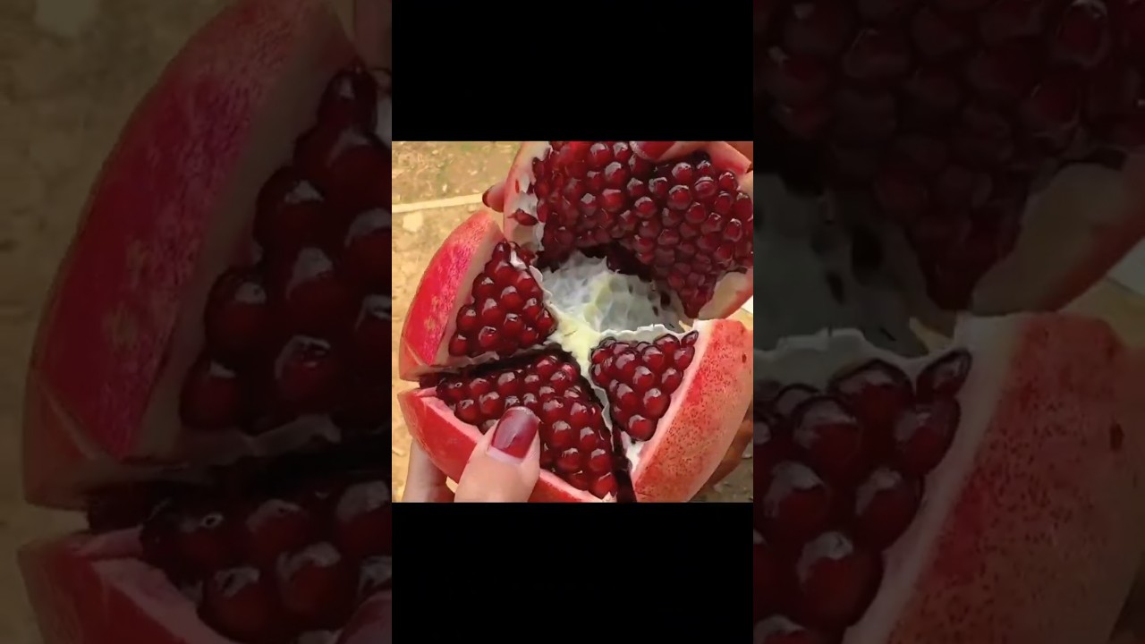 This guy is amazing.