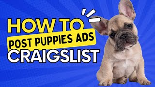 How To Sell Puppies On Craigslist Without Getting Flagged - 2024 screenshot 5