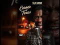 Corner Of Texas #bluesmusic #music #silasmonroe #coversong