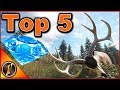 My Top 5 Biggest Diamonds in Call of the Wild!