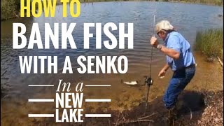 Download Lagu How to Bank fish with a Senko on a new lake MP3