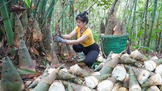 Download Lagu Picking Lots of Bamboo Shoots Goes To Sell - Cooking Bamboo Shoots Stewed with Pig's Feet MP3 Download Lagu Picking Lots of Bamboo Shoots Goes To Sell - Cooking Bamboo Shoots Stewed with Pig's Feet MP3