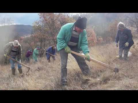 Video: Razlika Između Pošumljavanja I Pošumljavanja