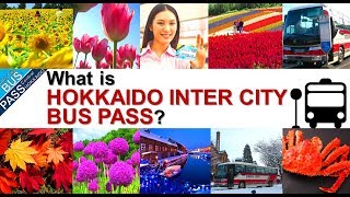 The Cheapest way to travel around Hokkaido, Japan / INTER CITY BUS PASS 2018 - 1