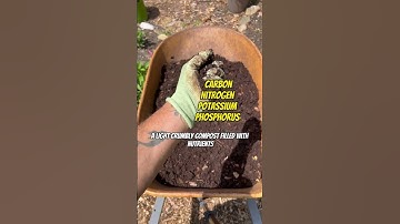 Turn leaves into SUPERCHARGED garden compost! 🍂👨🏽‍🌾