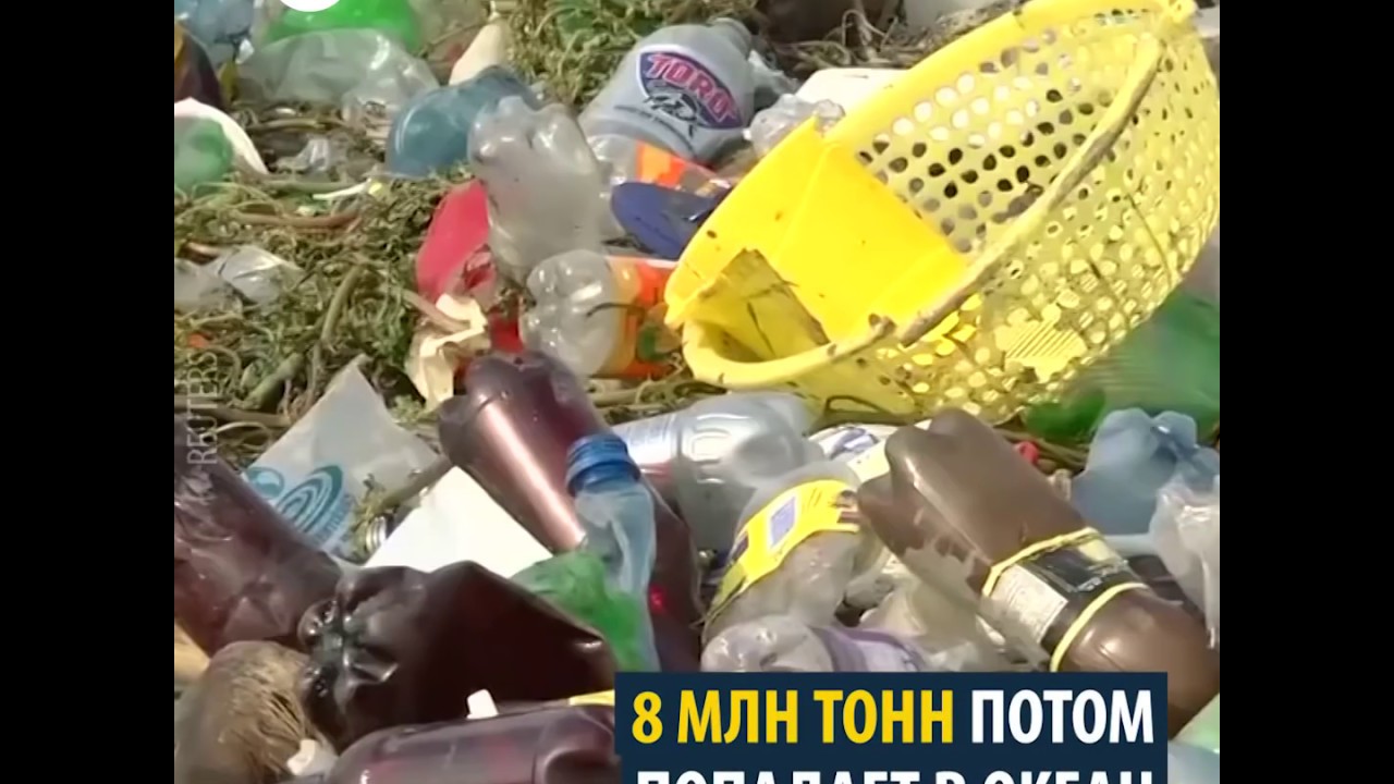 saving planet earth david attenborough Как спасают планету от мусора?