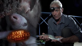 Setting A Trap With Entrails | River Monsters